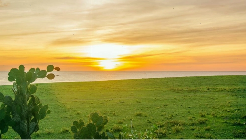 Phim trường “Tôi thấy hoa vàng trên cỏ xanh
