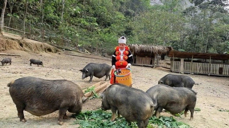 Phim Trường Tuyên Quang: Biến Bản Làng Thành Điểm Đến Sáng Tạo Nội Dung Số