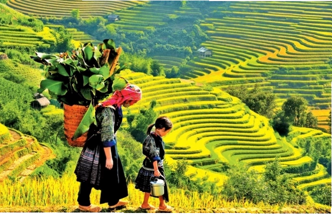 Phố cổ Hội An lung linh về đêm với đèn lồng