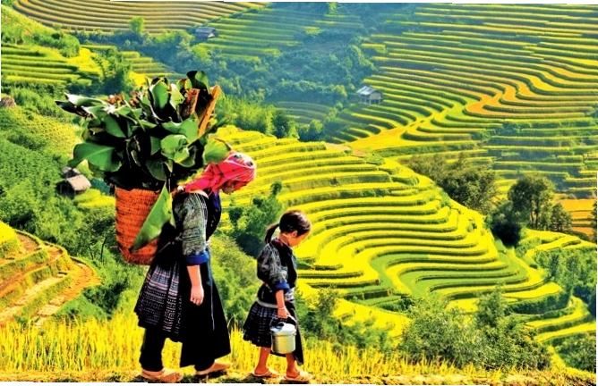 Phố cổ Hội An lung linh về đêm với đèn lồng rực rỡ
