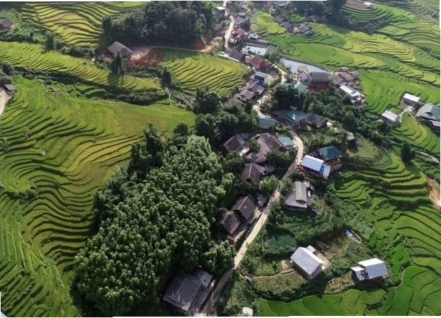 Phong cảnh làng bản người Tày xã Bản Hồ, thị xã Sa Pa