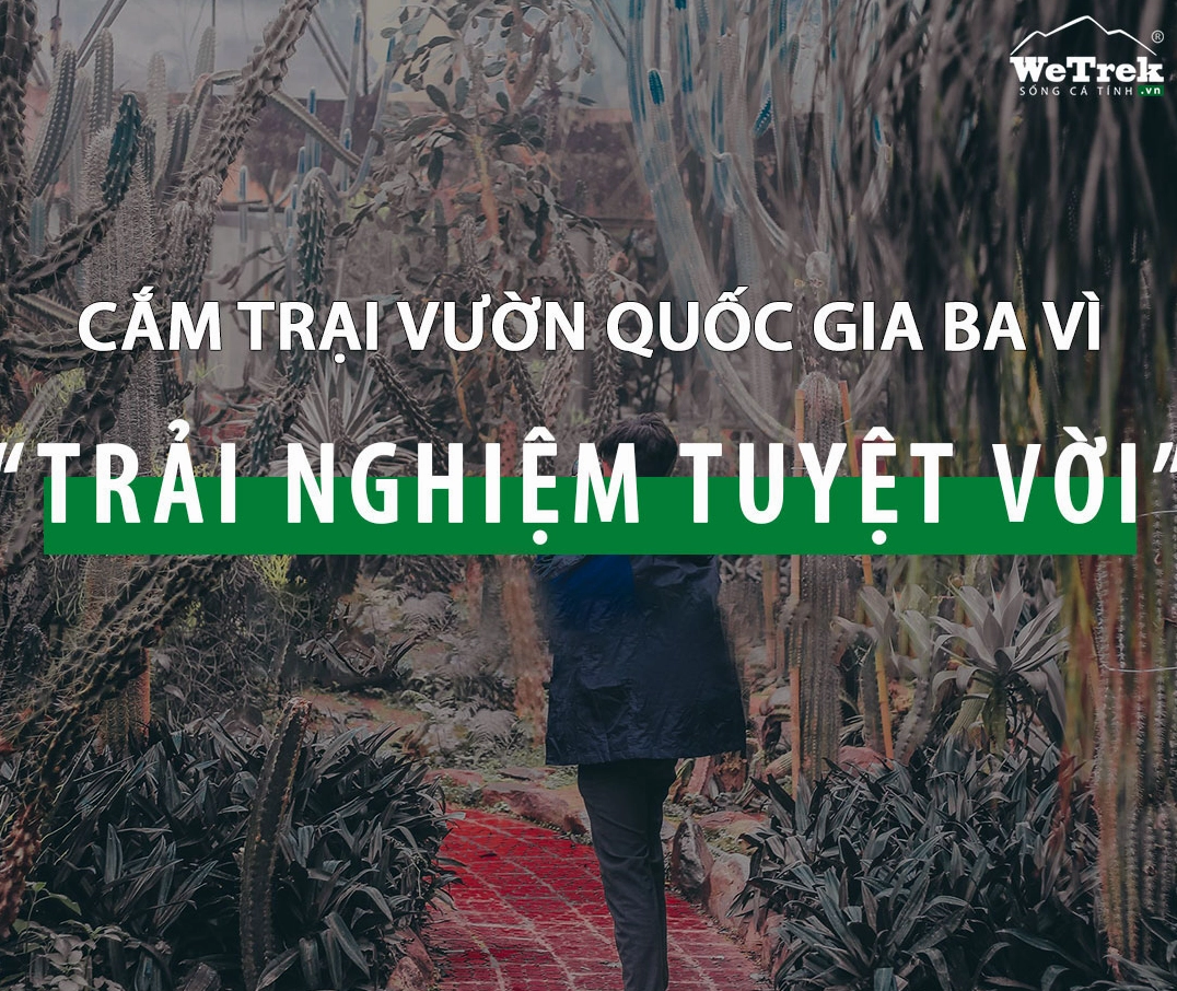 Phượt Ba Vì: Cẩm Nang Khám Phá Vườn Quốc Gia Toàn Diện 2026