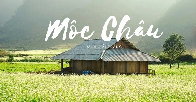 Phượt Mộc Châu bằng xe máy: Khám phá Tây Bắc hùng vĩ và thơ mộng