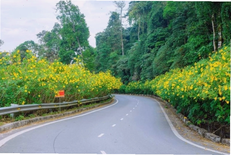 Phượt xe máy khám phá Ba Vì