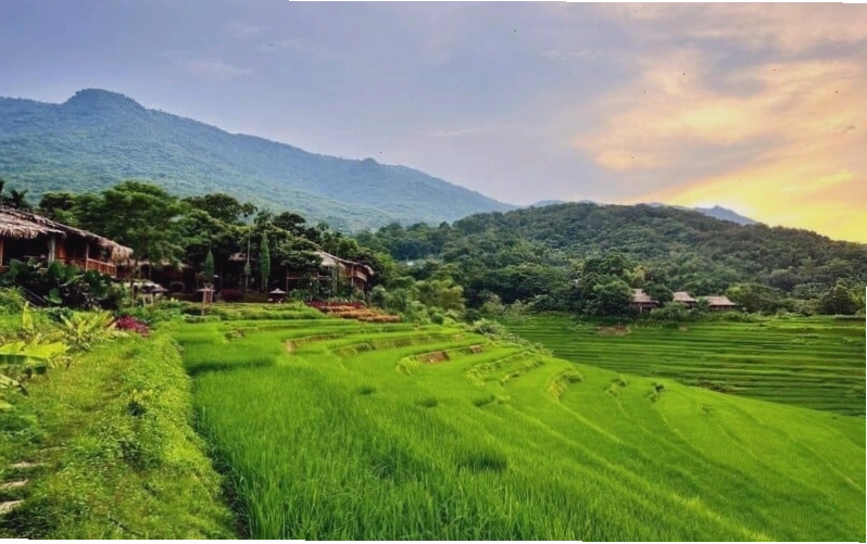 Pù Luông mùa hè với cảnh quan xanh mướt