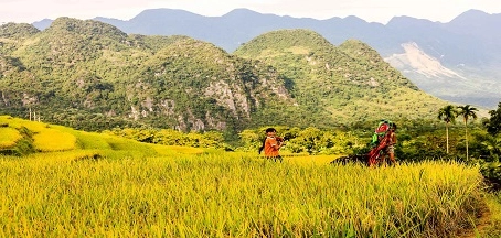 Pù Luông Thanh Hóa: Khám phá thiên đường nghỉ dưỡng, ruộng bậc thang và văn hóa Thái