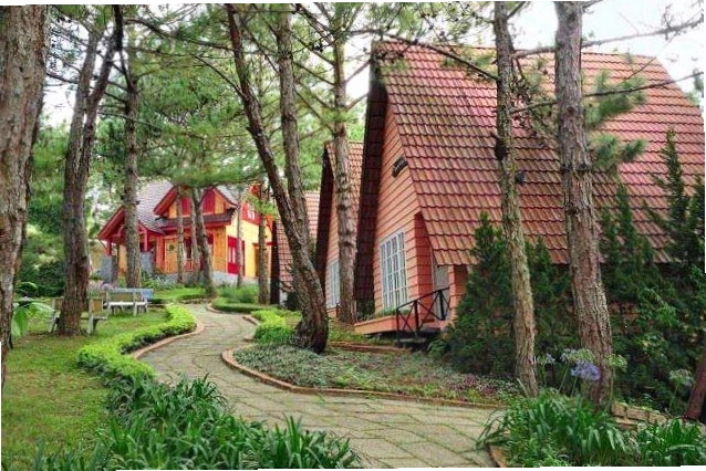 Quang cảnh Đà Lạt với sương mù bao phủ