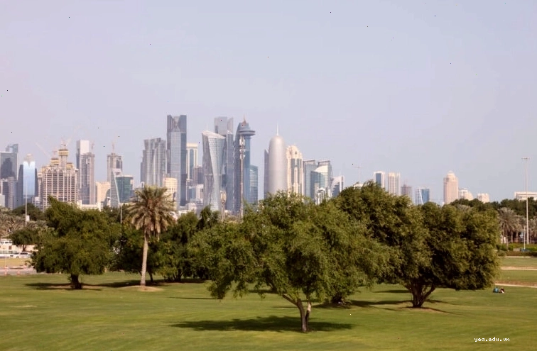 Quang cảnh thành phố Doha về đêm