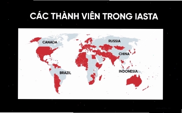 Quy định về thương quyền 8 là gì trong ngành hàng không
