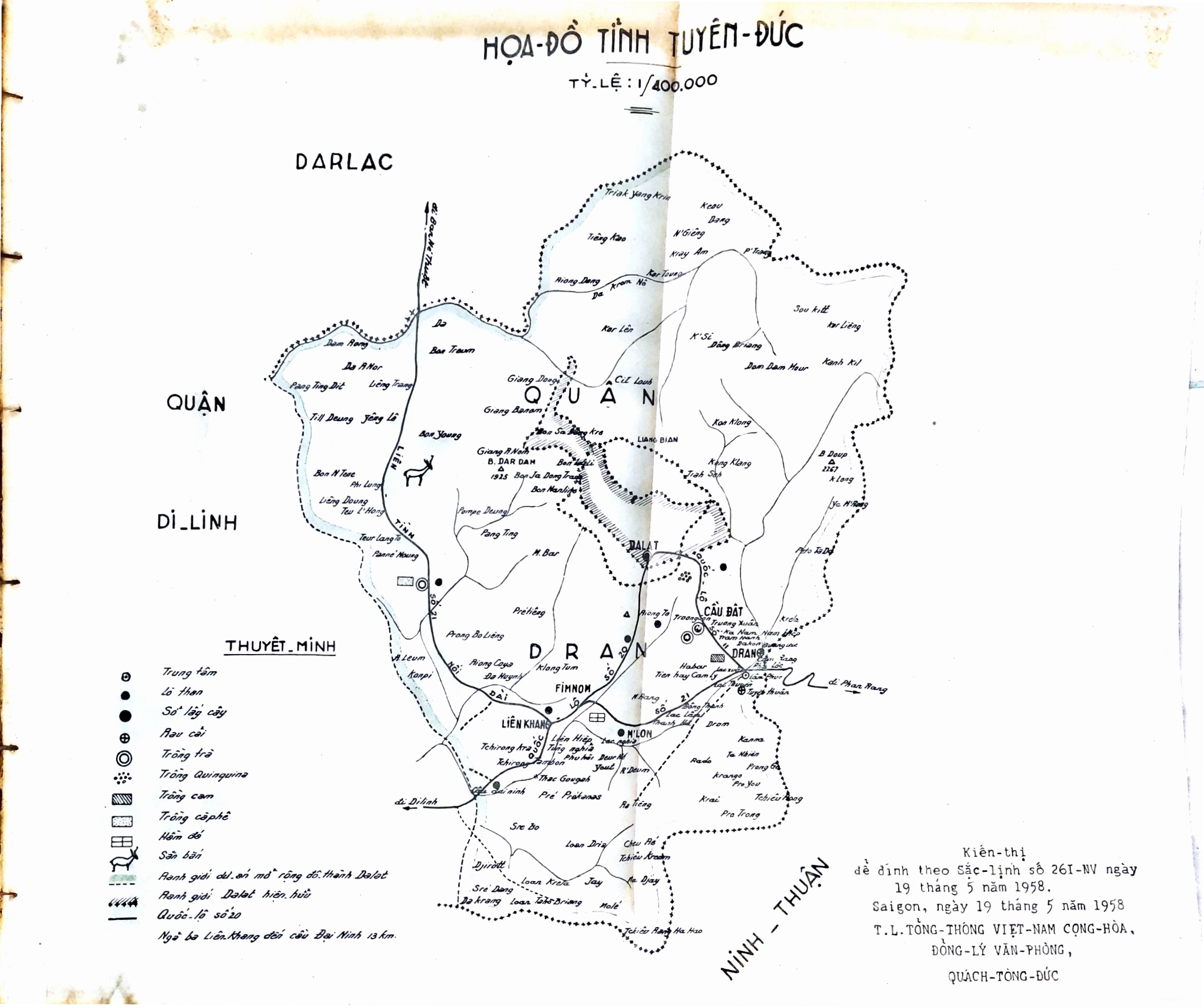 Quýt sai trĩu cành tại Dran Đơn Dương