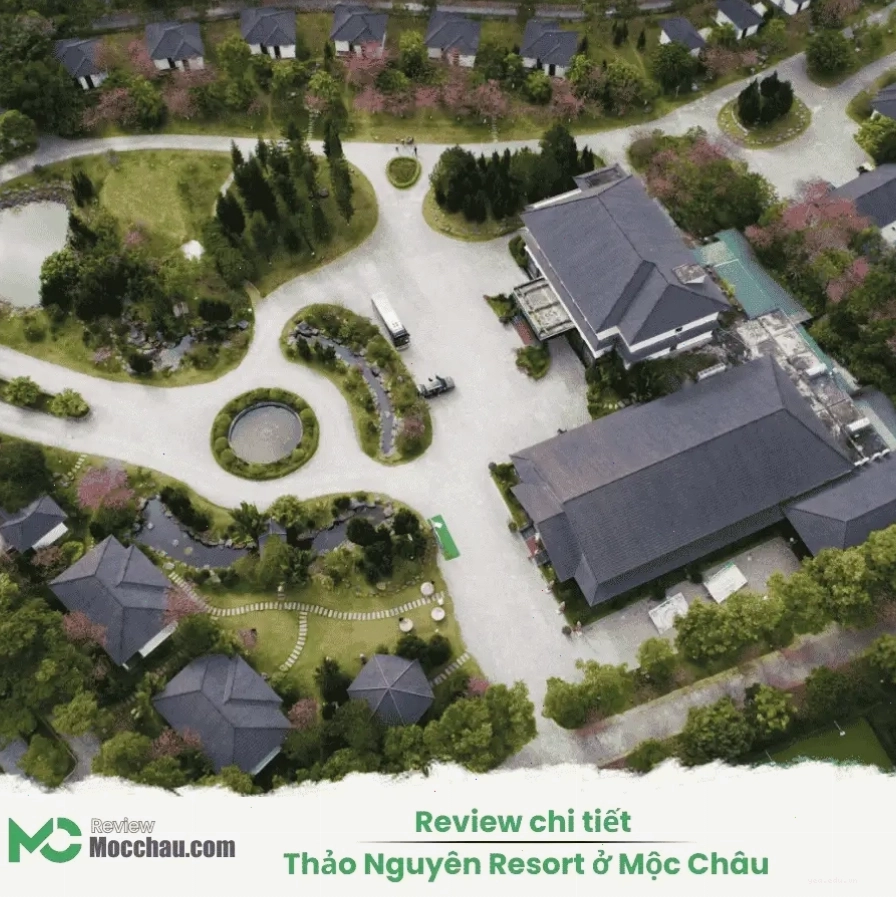 Review chi tiết Thảo Nguyên Resort ở Mộc Châu