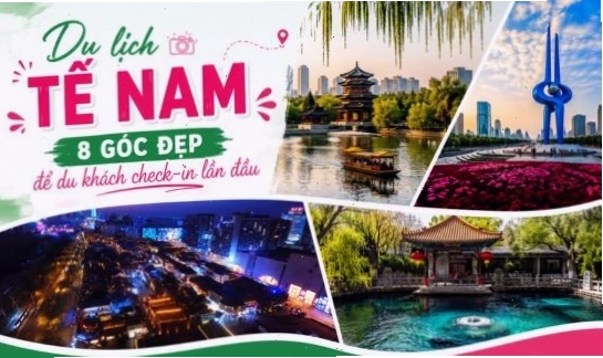 Rổ mận hậu Mộc Châu Sơn La chín đỏ, căng mọng