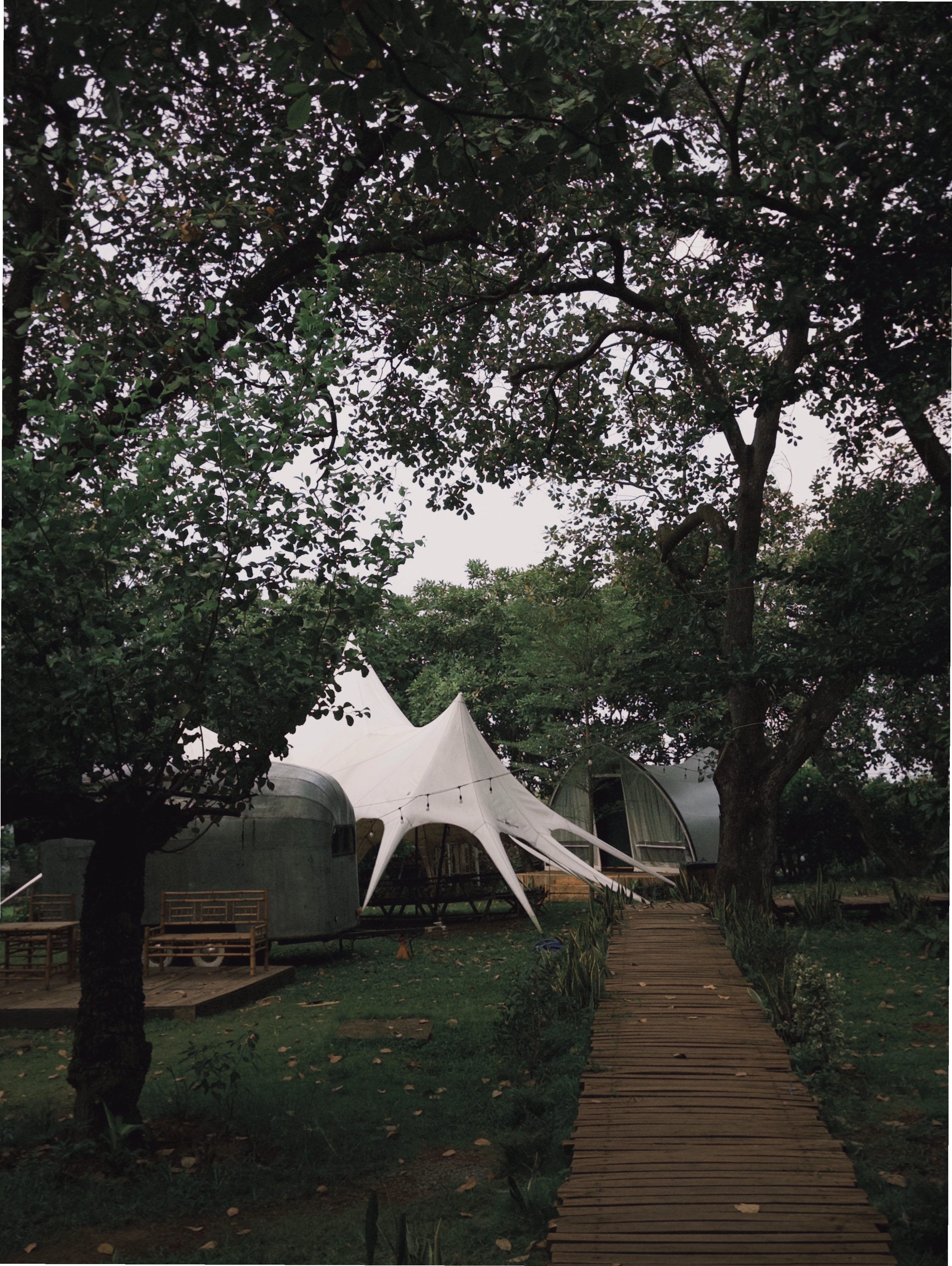 Rời xa phố thị, trở về cùng Thiên nhiên tại Tropical Eglamping