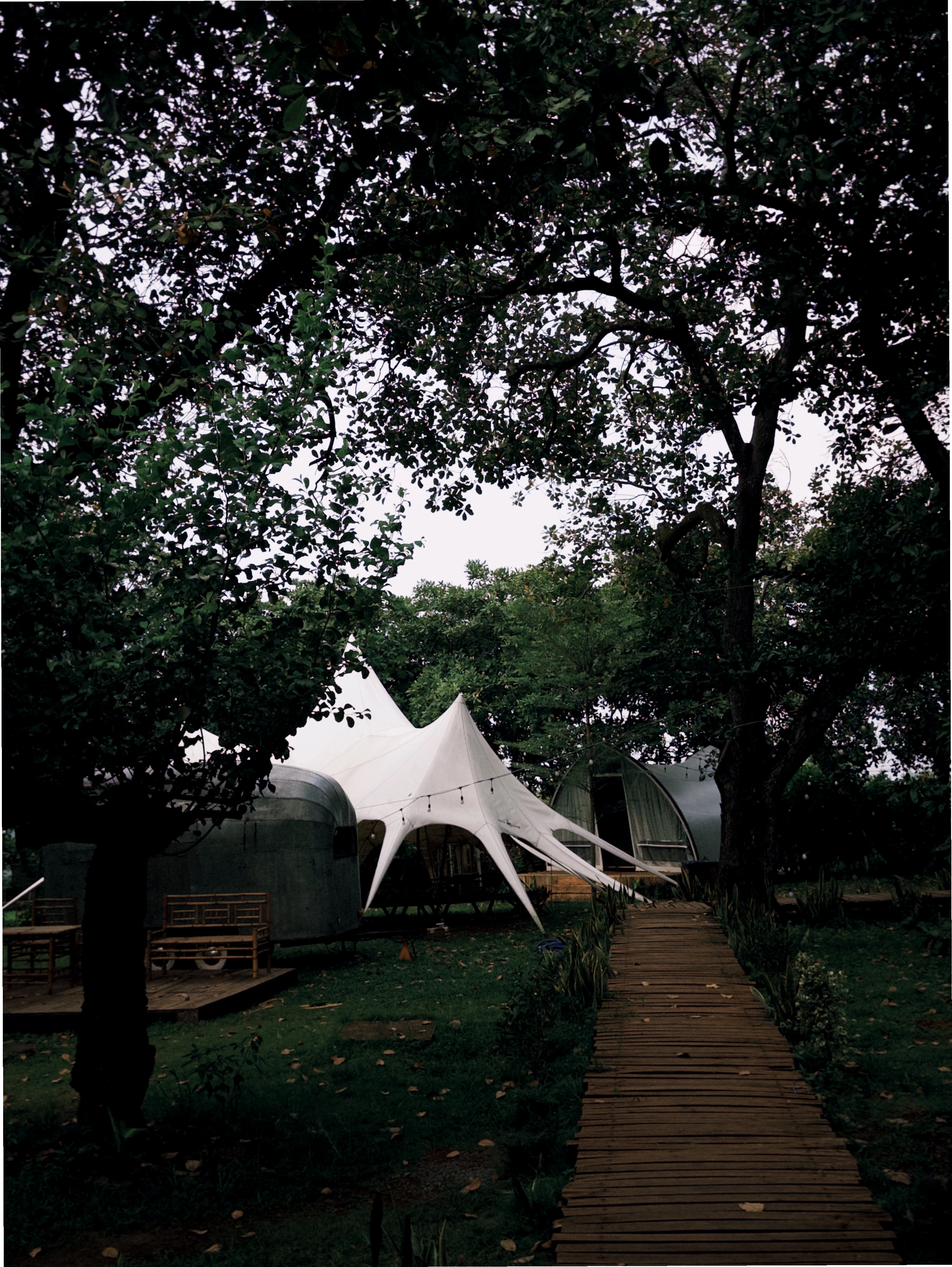 Rời xa phố thị, trở về cùng Thiên nhiên tại Tropical Eglamping