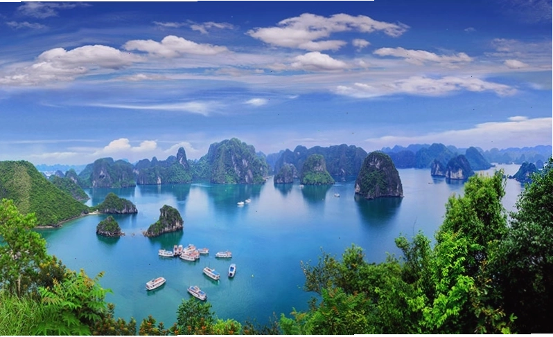 Rừng Amazon lá phổi xanh của Trái Đất