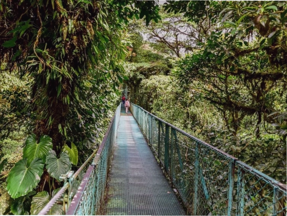 Rừng Mây Monteverde, Costa Rica