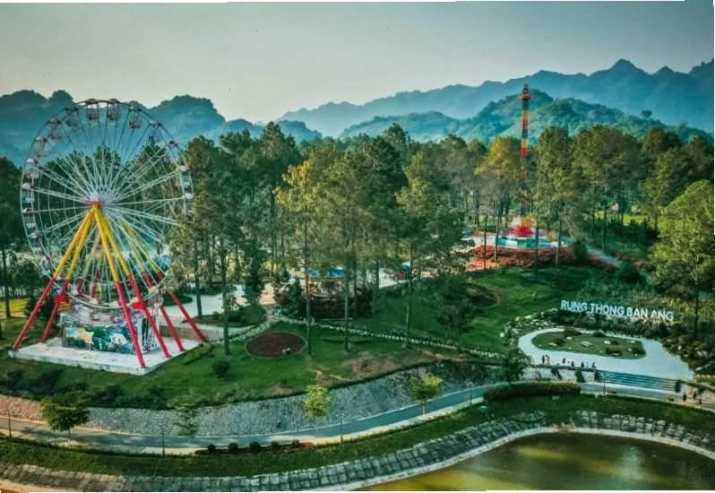 Rừng thông bản Áng Mộc Châu