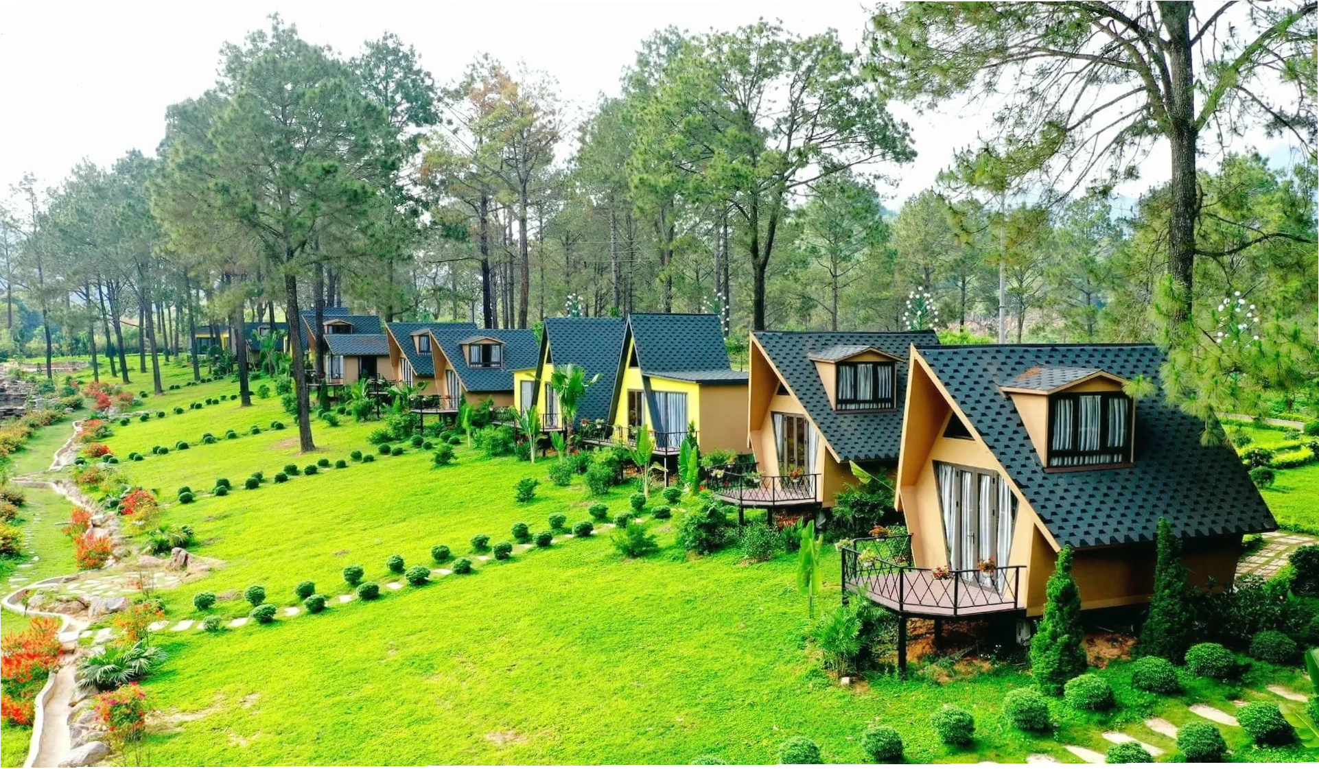 Rừng thông Bản Áng Mộc Châu với không gian xanh mát