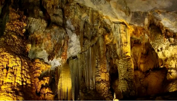 Rừng thông Bản Áng Sơn La