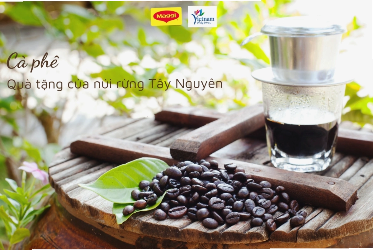 Rừng thông hùng vĩ tại Tây Nguyên dưới ánh nắng