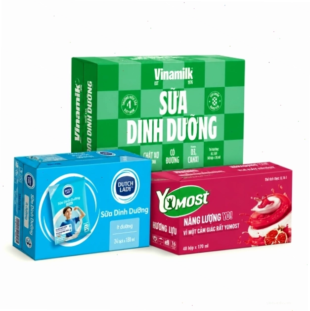 Rừng thông Yên Minh xanh mướt quanh năm