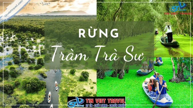 Rừng Tràm Trà Sư Mùa Nào Đẹp Nhất Để Du Lịch An Giang Năm 2026?