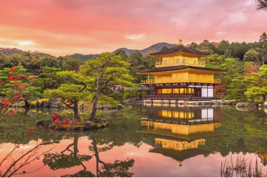 Rừng tre Arashiyama xanh mướt tại Kyoto