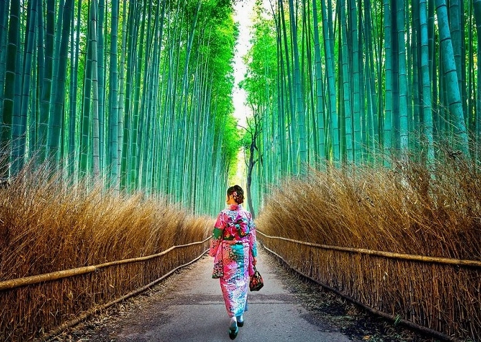 Rừng tre Sagano Nhật Bản lạc bước vào thiên đường xanh Kyoto