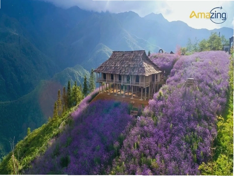 Ruộng bậc thang Bắc Hà mùa lúa chín