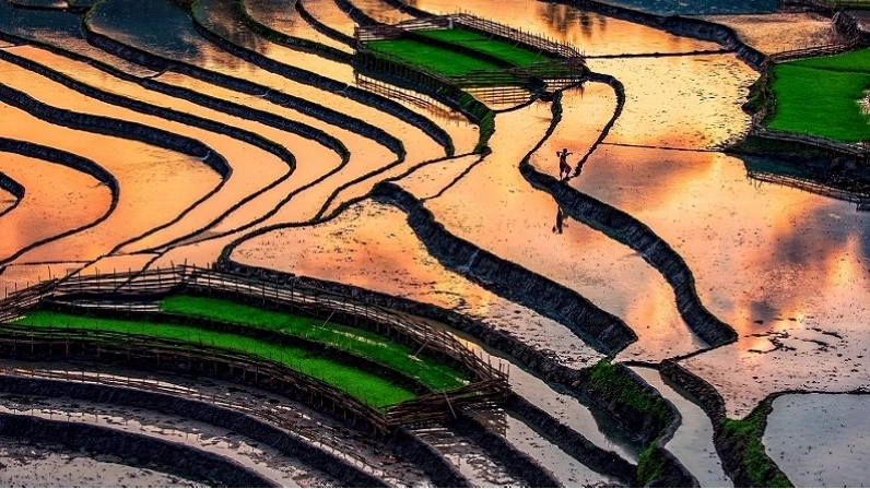 Ruộng bậc thang Hà Giang mùa nước đổ