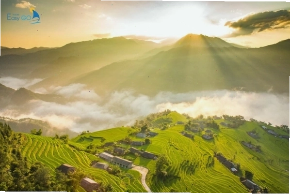 Ruộng bậc thang Hoàng Su Phì Hà Giang vào mùa lúa chín