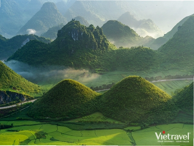 Ruộng bậc thang Hoàng Su Phì mùa lúa chín