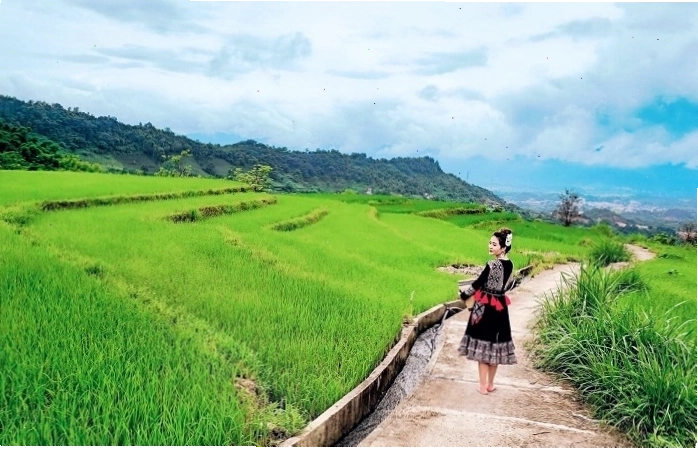 Ruộng bậc thang hùng vĩ nhìn từ Best View Kê Nênh Điện Biên