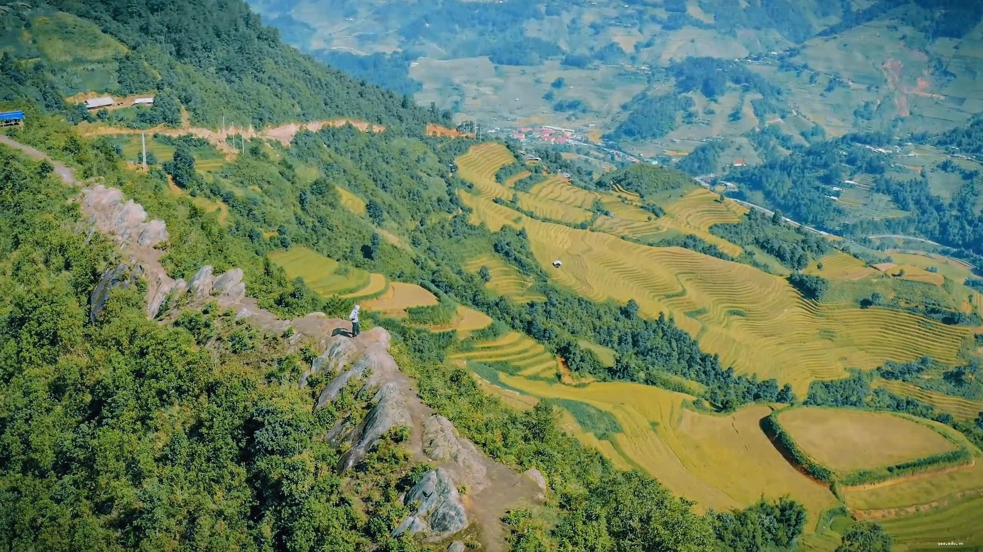 Ruộng bậc thang Mù Cang Chải nhìn từ đỉnh núi sống lưng khủng long