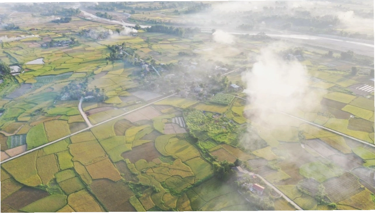 Ruộng bậc thang Mù Cang Chải vào mùa lúa chín