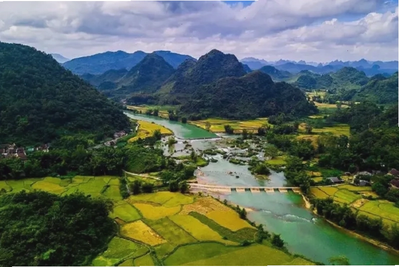 Ruộng bậc thang mùa lúa chín ở Cao Bằng