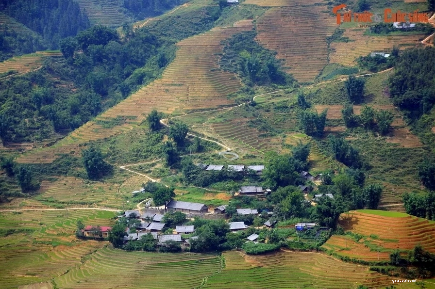 Ruộng bậc thang Sa Pa mùa lúa chín tạo nên khung cảnh kỳ ảo