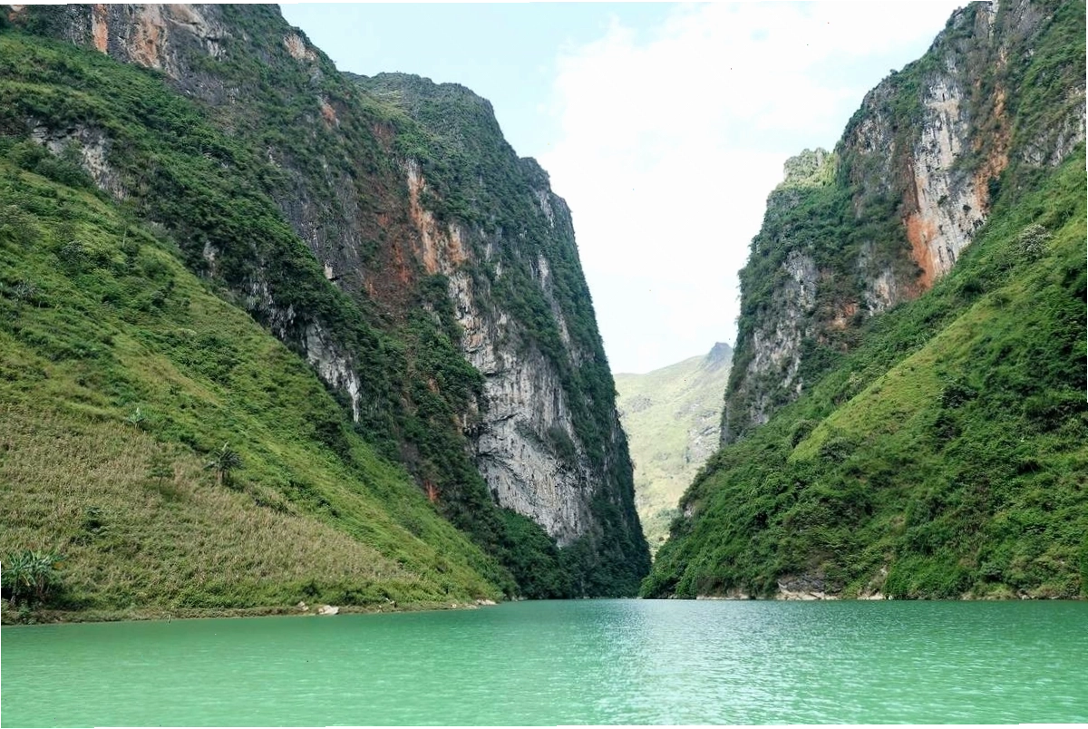 Ruộng bậc thang xanh mướt bên dòng sông Nho Quế