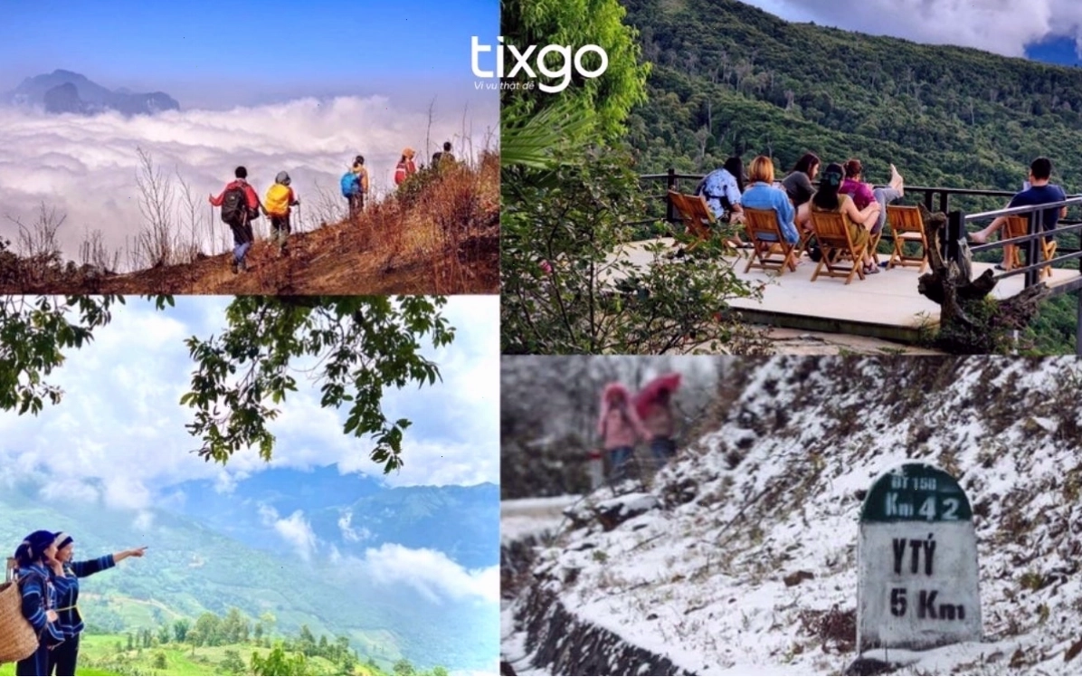 Ruộng bậc thang xanh mướt ở Y Tý