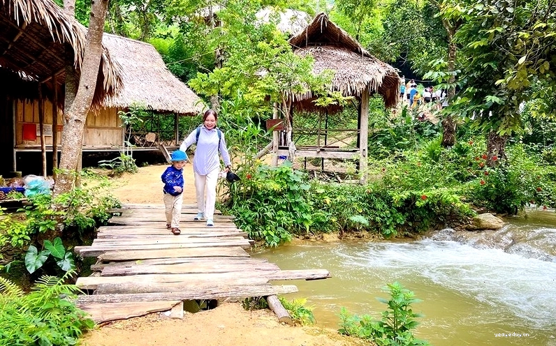 Ruộng bậc thang xanh mướt tại Pù Luông, Thanh Hóa