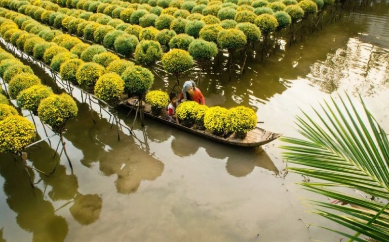 Sa Đéc Là Gì? Khám Phá Thủ Phủ Hoa và Trung Tâm Đô Thị Miền Tây