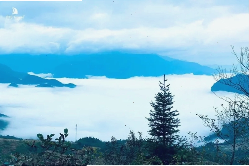 Săn mây tại Ngải Thầu, Y Tý
