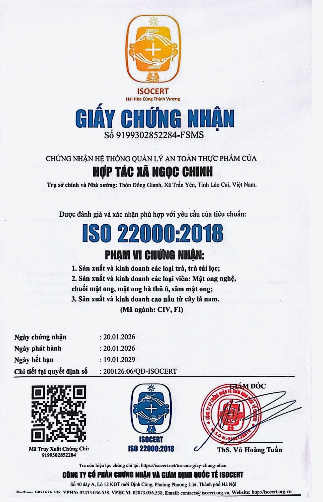 Sản phẩm chè xanh đặc sản Trấn Yên