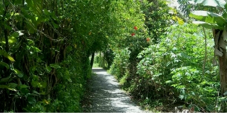 Sản phẩm gốm tại Vườn Nhà Gốm Lái Thiêu
