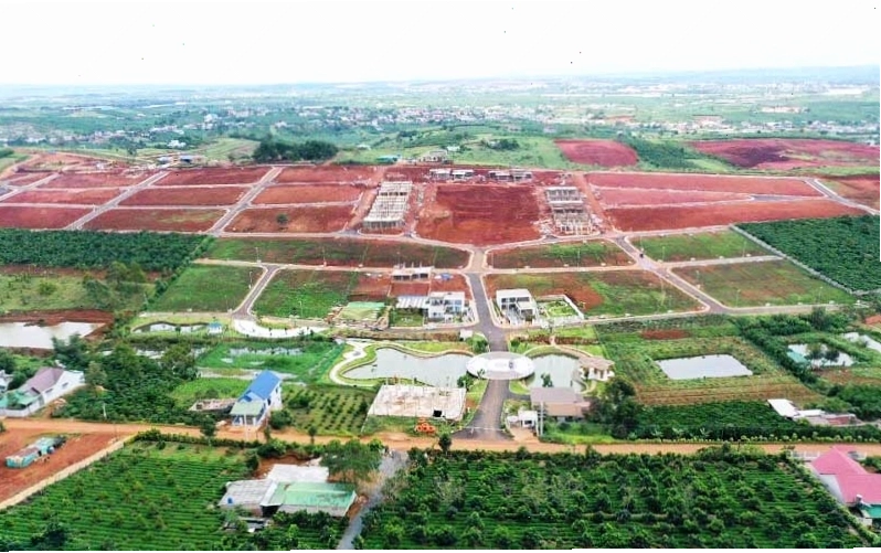 Sản phẩm trà OCOP của Bảo Lâm, Lâm Đồng