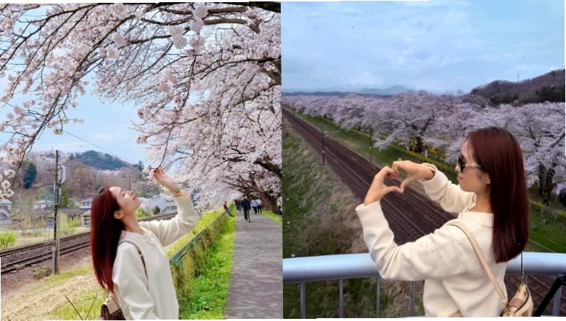 Sendai mùa xuân rực rỡ sắc hoa anh đào thu hút du khách.