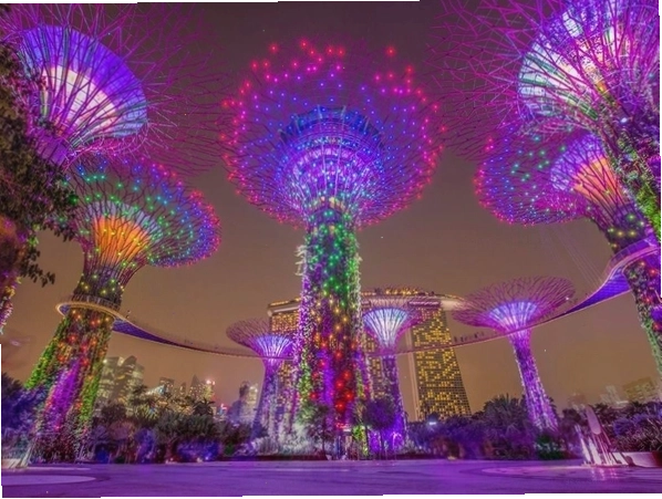 Siêu cây Gardens by the Bay rực rỡ trong màn trình diễn Garden Rhapsody