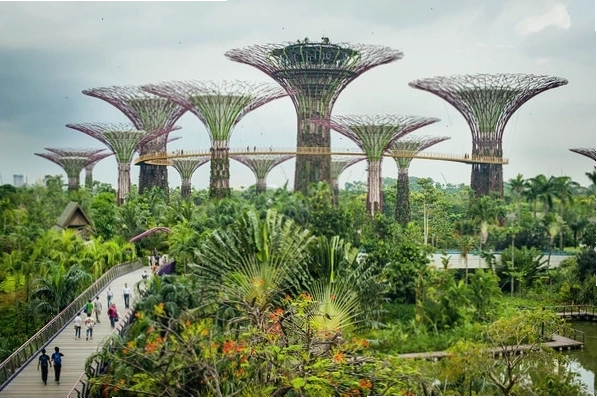Singapore hướng đến mục tiêu thành phố trong vườn