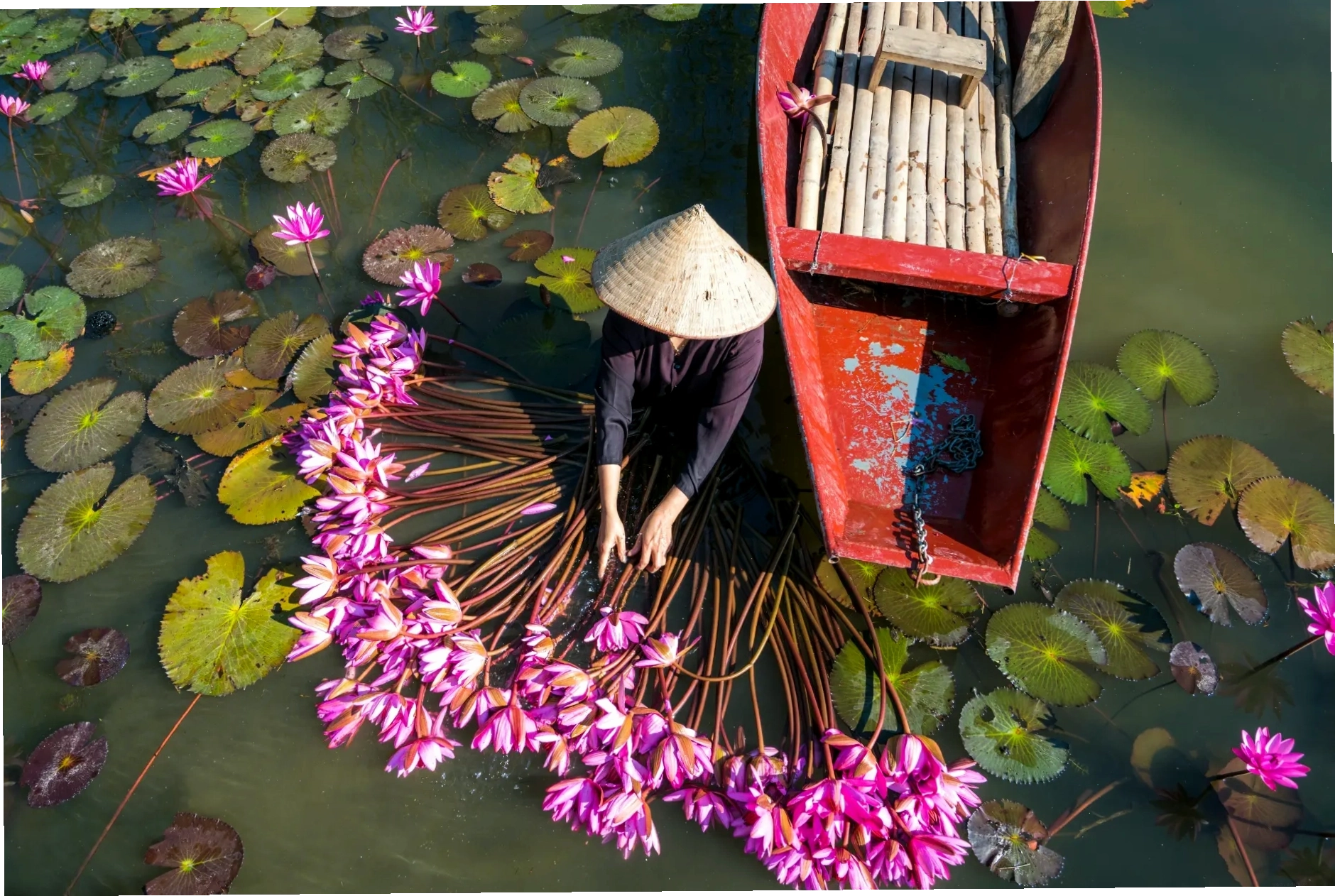 So sánh du lịch sinh thái ecotourism và du lịch đại chúng