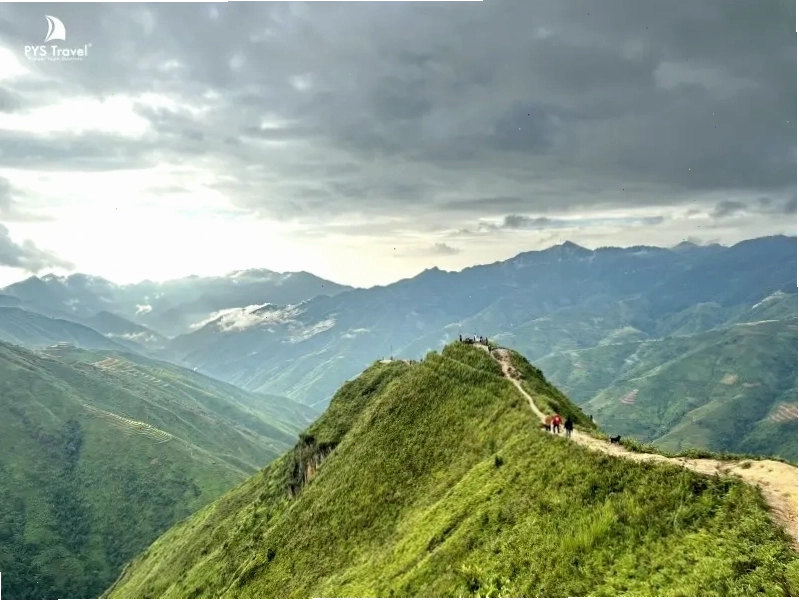 Sống lưng khủng long Tà Xùa